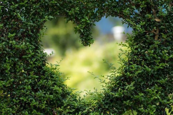 Gardens Image