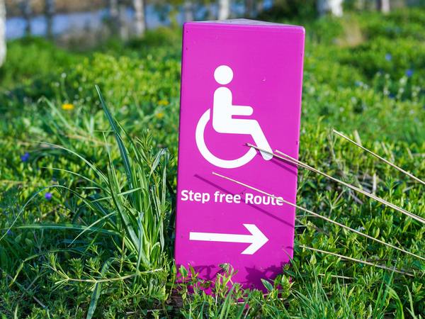 Fully Accessible Image